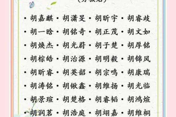 胡姓男孩名字大全-胡姓男孩起名字大全-胡姓名字大全姓名