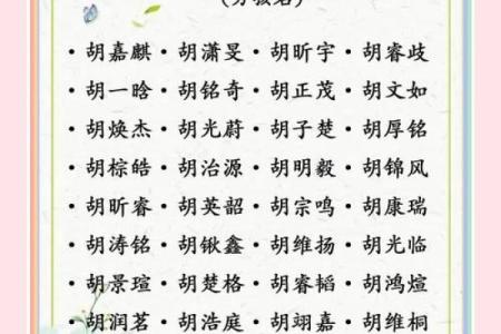 胡姓男孩名字大全-胡姓男孩起名字大全-胡姓名字大全姓名