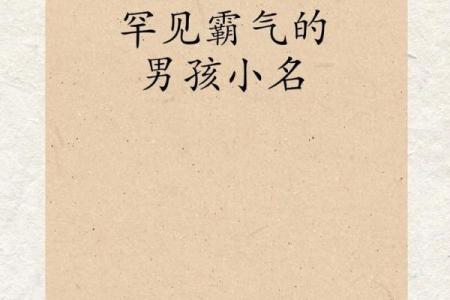 2019年3月22号亥时出生的男孩应该起什么样的名字姓名